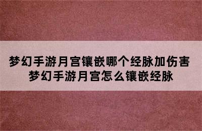 梦幻手游月宫镶嵌哪个经脉加伤害 梦幻手游月宫怎么镶嵌经脉